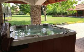 Villa Holiday Poroszló